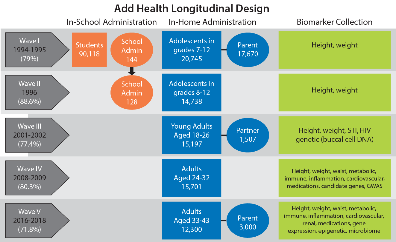 National Longitudinal Study of Adolescent to Adult Health (Add Health ...